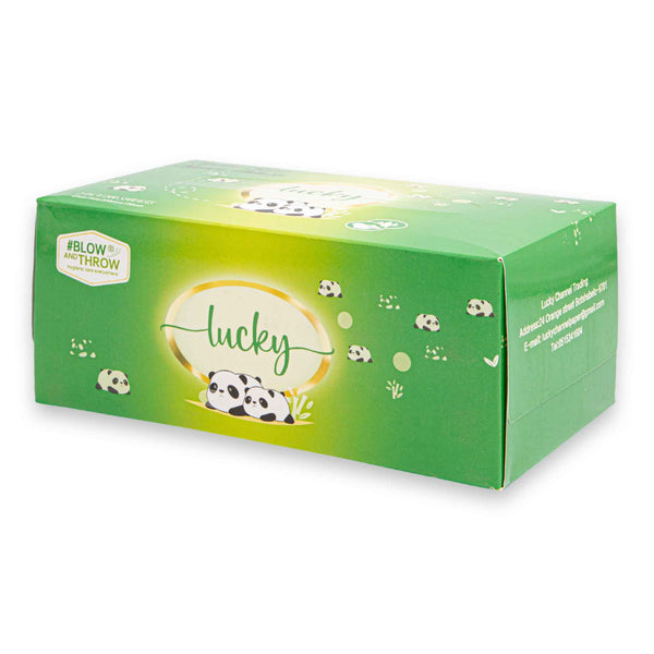 Facial Tissues 2-Ply 200 Sheets | Soft & Strong Disposable Tissues – Convenient Box Pack