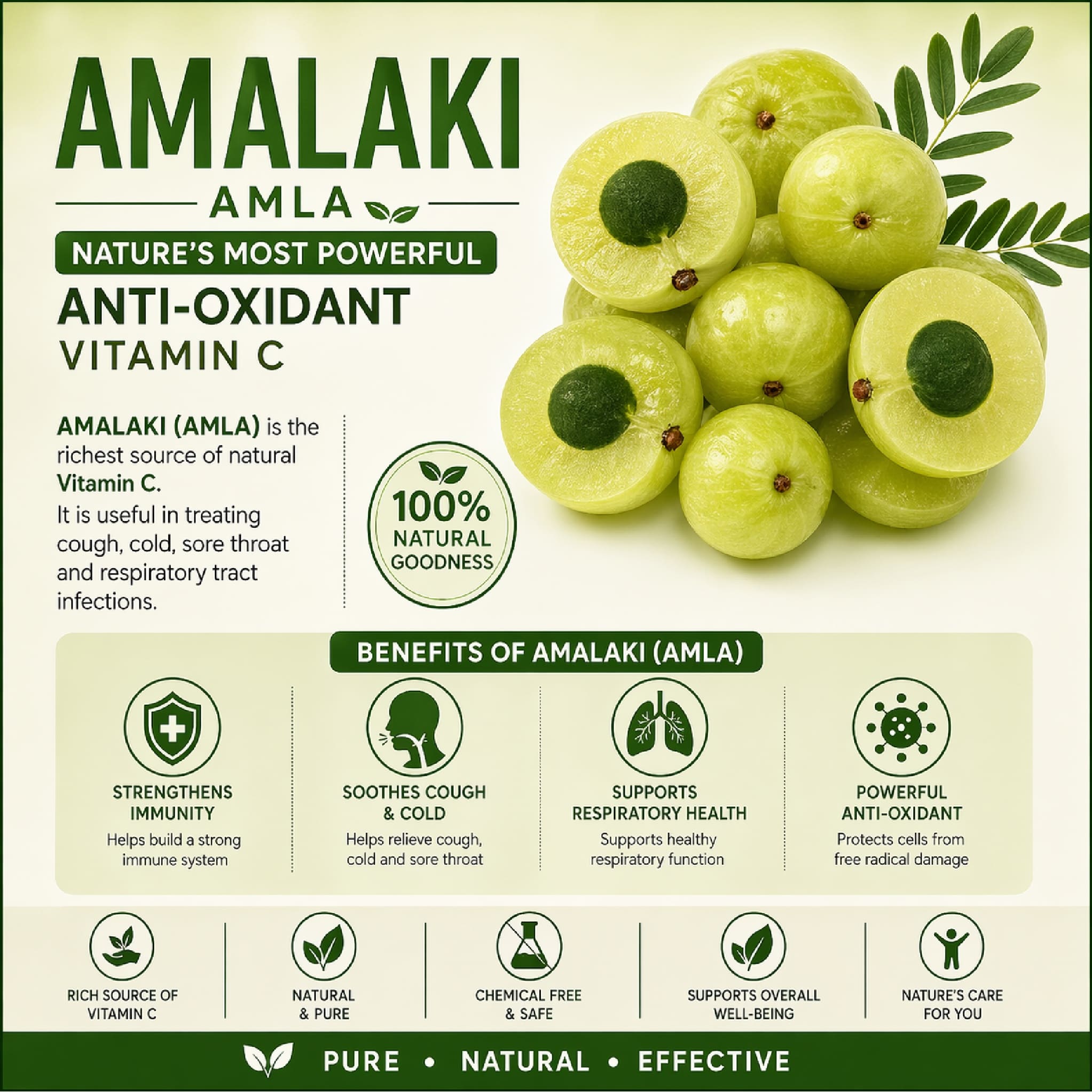 Amalaki (Amla) Powder 50g | Natural Vitamin C Antioxidant | 100% Organ – Cosmetic Connection